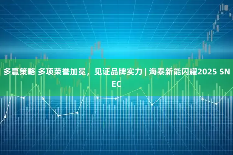多赢策略 多项荣誉加冕，见证品牌实力 | 海泰新能闪耀2025 SNEC
