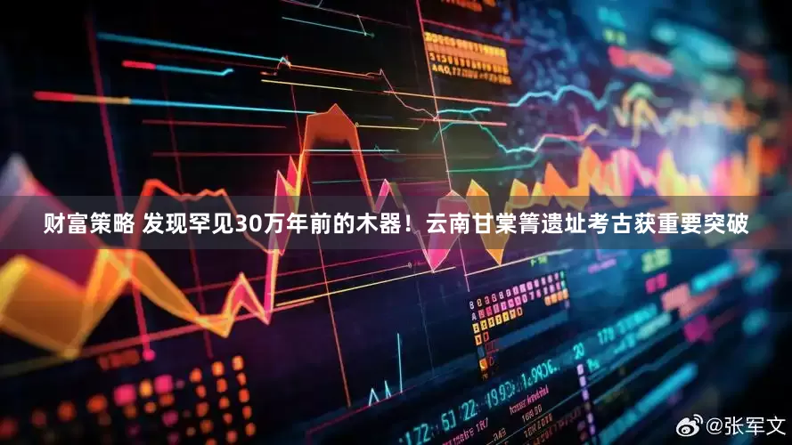 财富策略 发现罕见30万年前的木器！云南甘棠箐遗址考古获重要突破