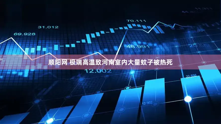 顺阳网 极端高温致河南室内大量蚊子被热死